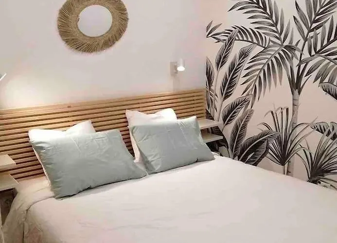 Appartement En Plein Centre A 100M Du Port